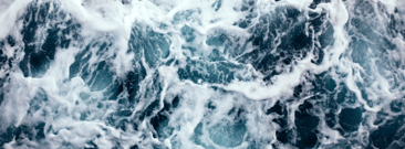 Navigating the Dynamic Seas of Network Services: A Glimpse into the Latest Trends