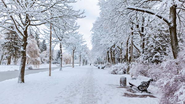 Battling the Cold: Strengthening Cybersecurity in Winter