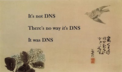 dns